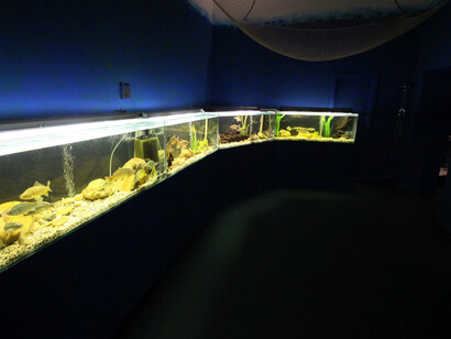 Exhibition of the Lednice–Valtice Landscape. Courtesy of National Museum of Agriculture