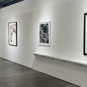 Various artists, Color blind, exhibition view. Courtesy of Winston Wächter Fine Art