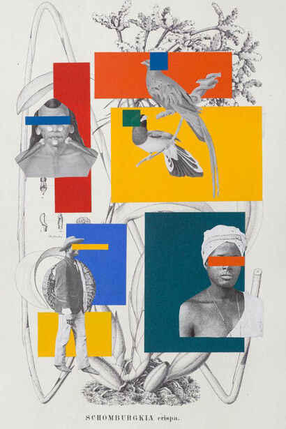 What I really want to tell you… Courtesy of Mana Contemporary