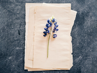 Sono le piccole parole a creare l’architettura che regge la costruzione di tutte le altre parole considerate più significanti