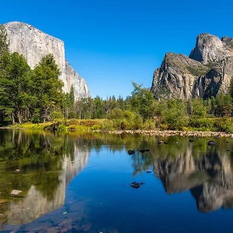 El Parque Nacional de Yosemite es uno de los hábitats más grandes y menos fragmentado, posee una gran diversidad de plantas y animales