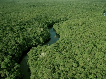 Amazônia