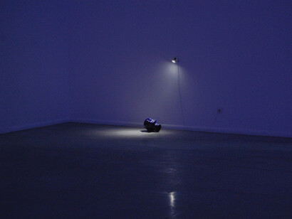 Pedro Cabral Santo, *Homage a Victor Pinto de Fonseca*, 2014, cabeça de gesso, almofada. Cortesia Colégio das Artes, Coimbra