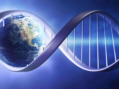 L'alfabeto della vita