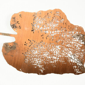 Shelagh  Wakely, cloud forest leaf, 2005, Etched copper, 12 x 8 cm © Shelagh Wakely. Courtesy Richard
Saltoun Gallery and Shapero Modern