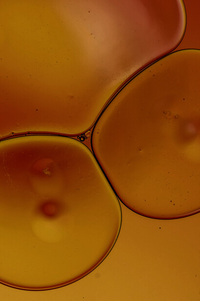 L’olio di palma non è dannoso per la salute in quanto tale ma, se assunto in grandi quantità al pari di altri oli e grassi vegetali sicuramente non fa bene all’organismo