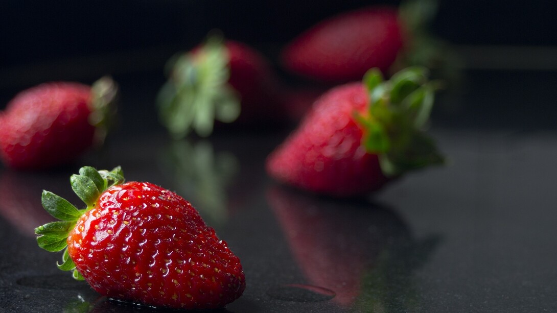 Fresas