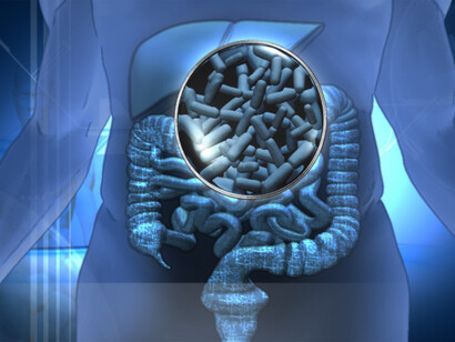 Microbiota intestinale