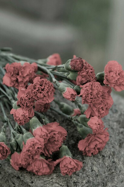 Se pierde la costumbre de visitar y adecentar la tumba de los seres queridos