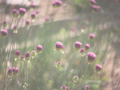 Il paesaggio serve da sfondo alle sofferte vicende dell'eroe