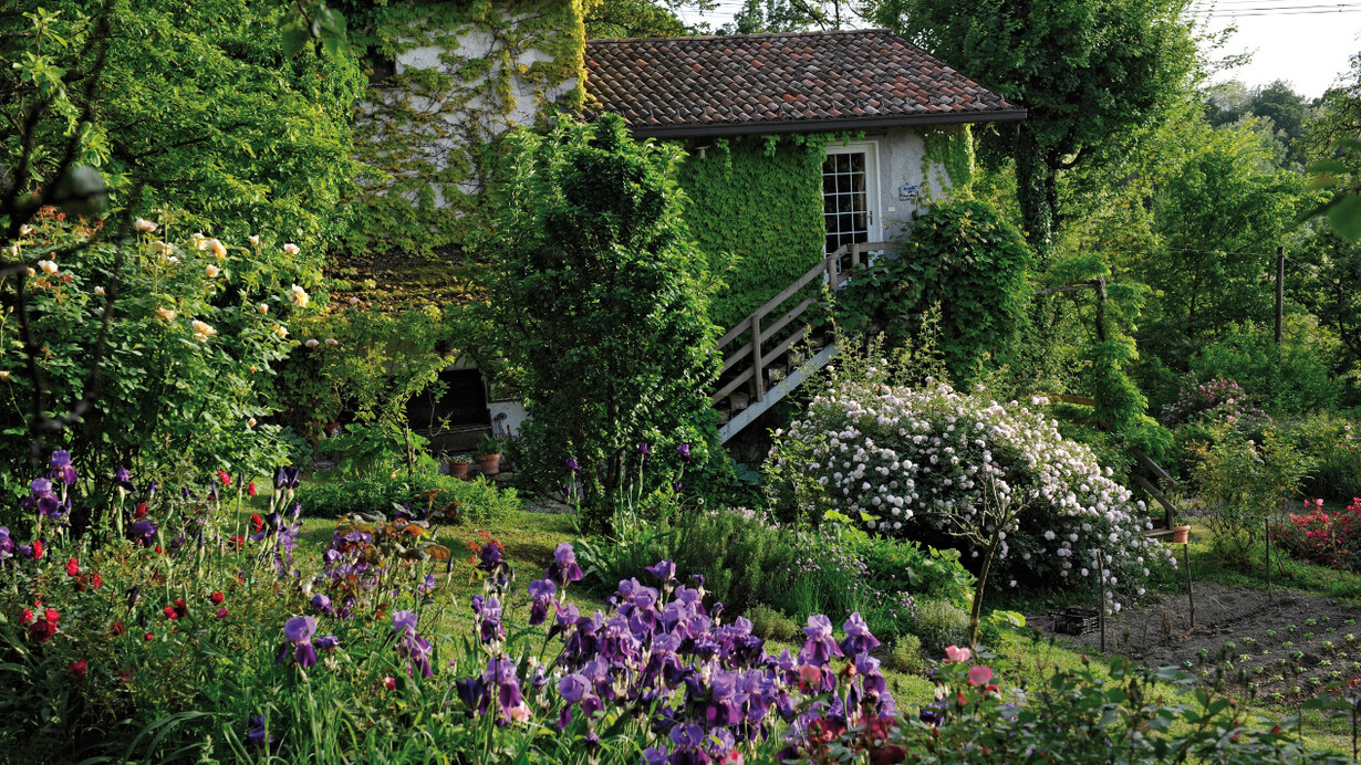 Orto dell’agriturismo La Traversina e fioritura primaverili di iris e rose. Foto di Enzo Valenti