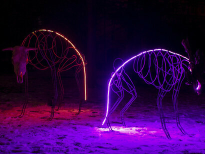 Jacopo Mandich, Jackal Project. Credit Manuela Giusto. Courtesy of Faber art gallery