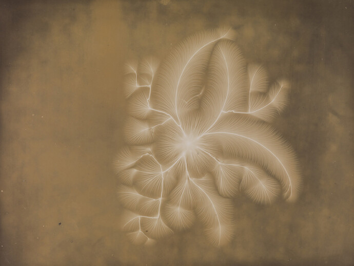 Negative Discharge, 1892, Alan Archibald Campbell Swinton © National Media Museum, Bradford SSPL