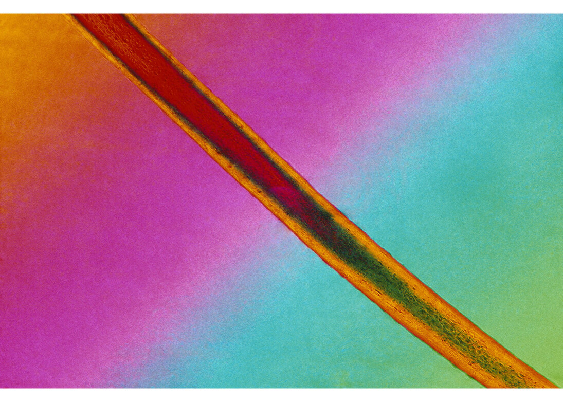 Broomberg and Chanarin, Trace Fiber from Freud’s couch under crossed polars with Quartz wedge compensator (#2), 2015 © Broomberg and Chanarin, 2015. Courtesy Broomberg and Chanarin; courtesy Lisson Gallery, London