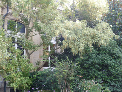 Parigi, giardino dell'Assemblea Nazionale, foto Simonetta Sandri