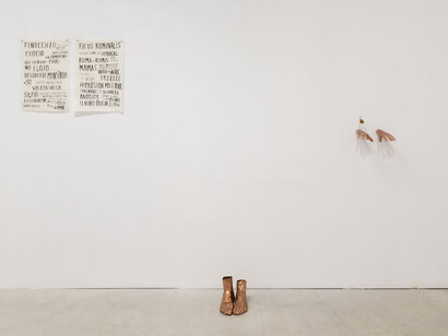 Blanca Gracia, Mala hierba nunca muere, vista de exhibición. Cortesía de la Galería Prats Nogueras Blanchard Barcelona/Madrid. Fotos por Roberto Ruiz