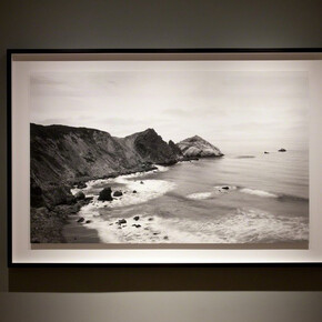 Richard Learoyd. Courtesy of Fraenkel Gallery 