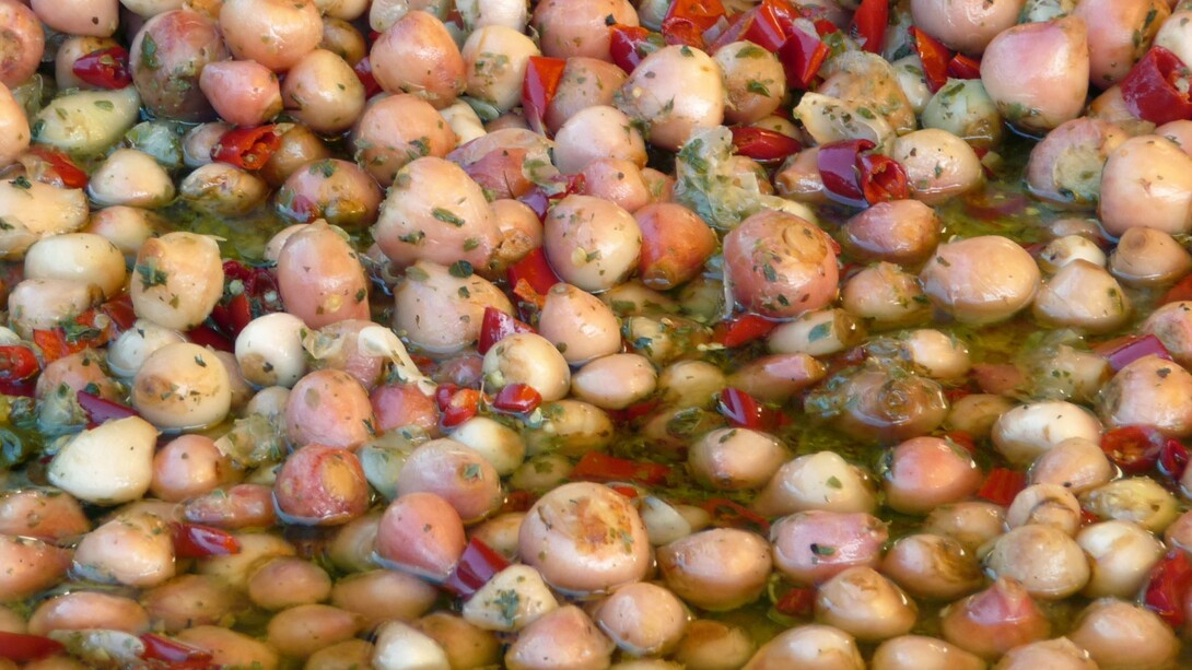 I lampascioni sono piccoli bulbi selvatici dal sapore amarognolo, molto usati nella cucina tradizionale pugliese e lucana. Una delle preparazioni più diffuse è quella dei lampascioni è lessati e conditi con olio extravergine d’oliva, aceto, aglio e prezzemolo