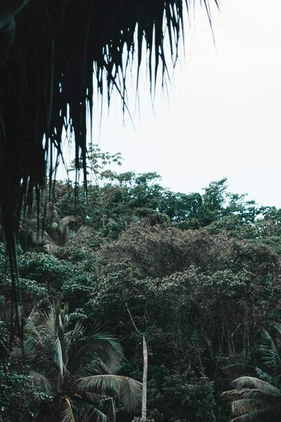 Un nuevo día espera comienza en el amazonas