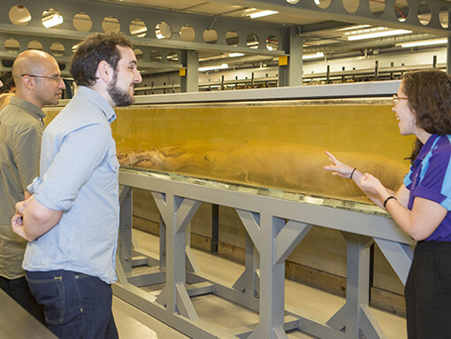 Behind-the-Scenes Tour: Spirit Collection. Courtesy of Natural History Museum
