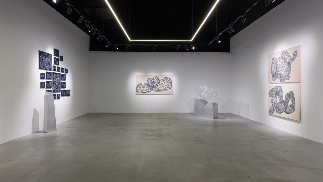 Alia Lootah, In the space of becoming, exhibition view. Courtesy of Aisha Alabbar Gallery