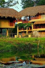 Traditional bamboo & mud houses of India's North East