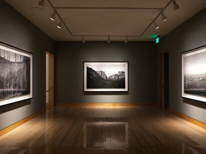 Richard Learoyd. Courtesy of Fraenkel Gallery 