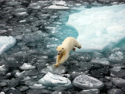 The Arctic is burning