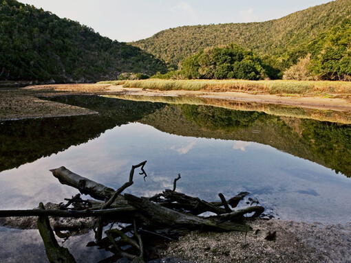 Afternoon gold along the Salt River, Nature’s Valley, photographed by Obie Oberholzer