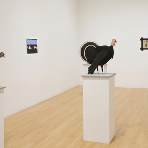 Clarence Swinyer, Lake George, exhibition view. Courtesy of Kerry Schuss Gallery 