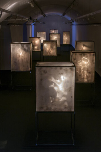 Ologrammi gotici – Installazione di Sàndor Vály