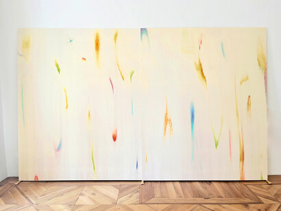 Mario Airò, Co-mondo, exhibition view. Courtesy of Tucci Russo Gallery 