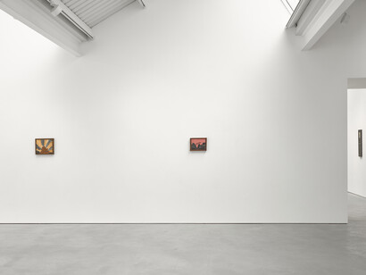 Forrest Bess. Courtesy of Modern Art