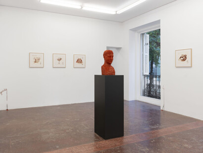 Jan Fabre, La materialización del amor, vista de exhibición. Cortesía de la Galería NF/Nieves Fernández