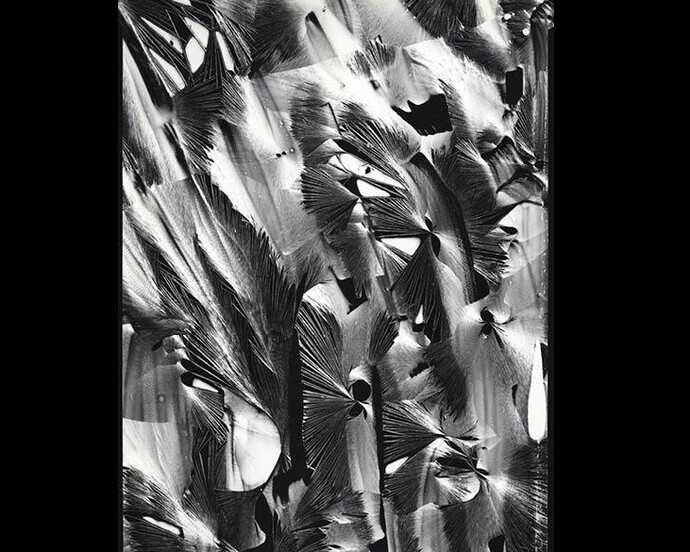 Brett Weston. Courtesy of Cleveland Museum of Art