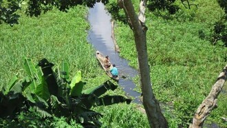 Boat in the Peruvian Amazon
