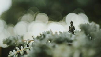 El estado Zen representa una experiencia de absoluta conexión con el presente, libre de intención o esfuerzo consciente