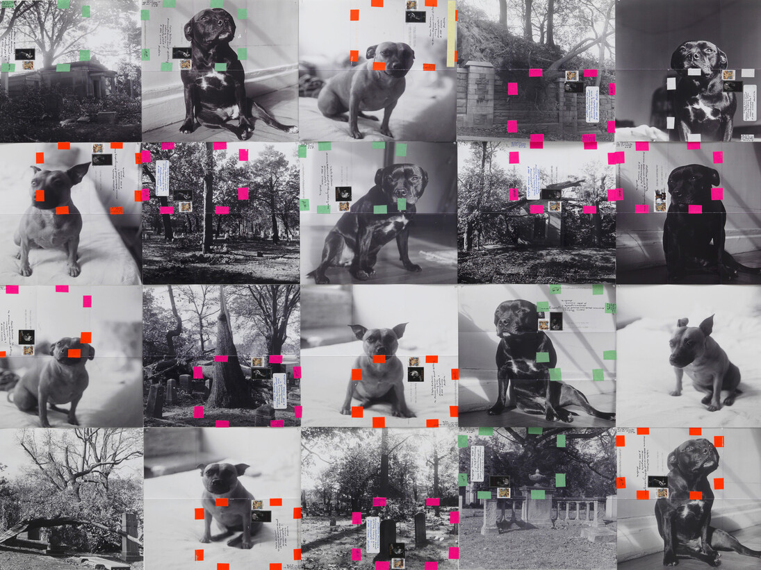 Moyra Davey, Trinity Dogs, 2015, 20 b&w digital C-prints, tape, labels, postage, ink, each: 12 x 12 inches (30.48 x 30.48 cm), overall: 48 x 60 inches (121.92 x 152.40 cm), Photo: Marcus Leith, Courtesy of greengrassi, London