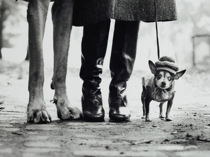Stampede. Courtesy of Denver Art Museum
