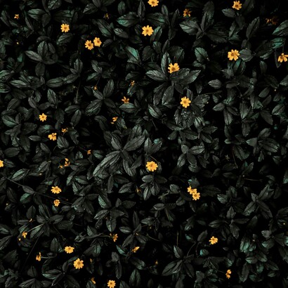 Il est nécessaire d'envisager de façon créative cette situation et de chercher comment améliorer ou modifier les choses