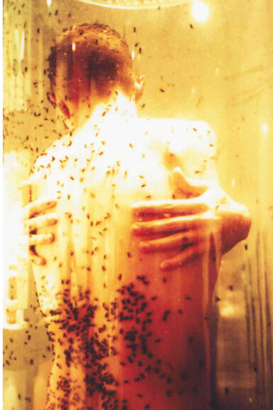 Gerardo Lamattina, performance