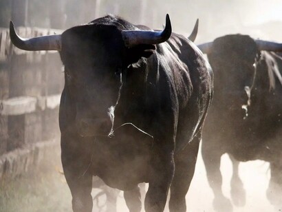 O Touro, ligado ao elemento Terra e regido por Vênus, é um cofre forte de valores, riquezas e capacidades