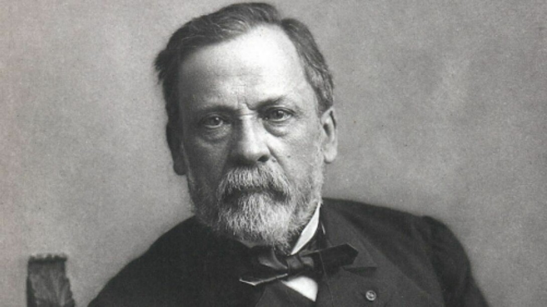 On doit à Pasteur d’y avoir mis au jour le rôle des microorganismes
