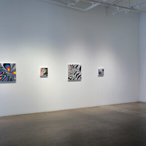 Shannon Cannings, Distortions, exhibition view. Courtesy of Cris Worley Fine Arts