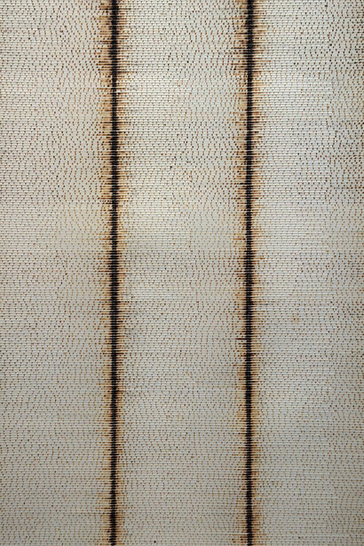 Ankush Safaya, Untitled (detail), 20025. Courtesy of Sakshi Gallery