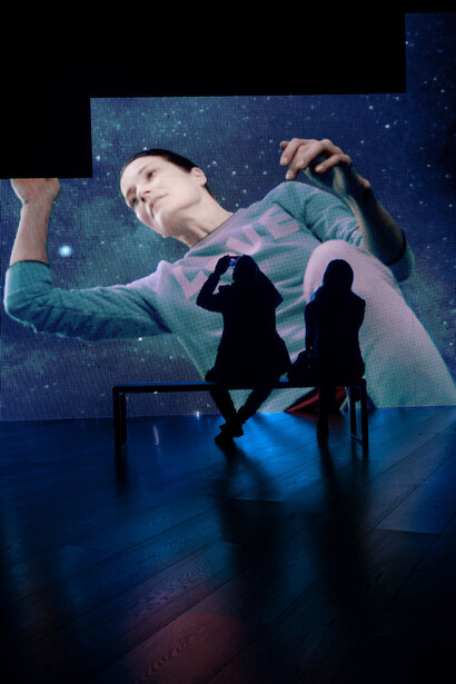 Vertical single channel projection (4K/HD; 2 min 35 sec loop; no audio; image size approx. 440 x 250 cm)