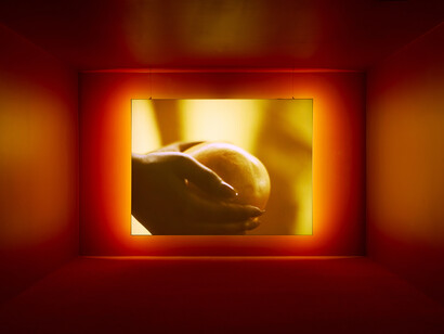 Various artists, Primavera 2024: Young Australian Artists, exhibition view. Courtesy of MCA