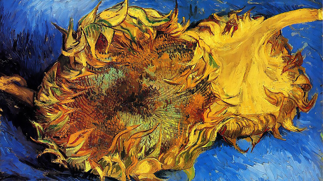 Van Gogh's masterpiece, 'Six Sunflowers,' serves as a poignant reminder, drawing an evocative parallel to the vibrant hues of the Ukrainian flag, capturing the essence of resilience and hope through the timeless language of art