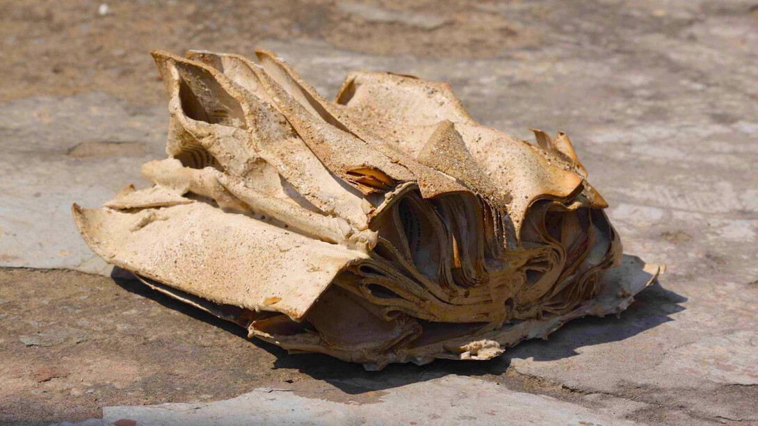 Saba Hasan, Book fossil 2, 2013. Courtesy of Kiran Nadar Museum of Art