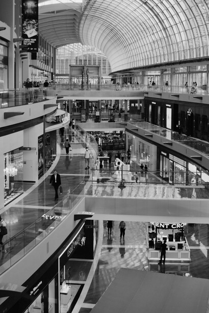 En los países capitalistas predomina un consumismo desenfrenado orientado al individualismo y al éxito económico personal
